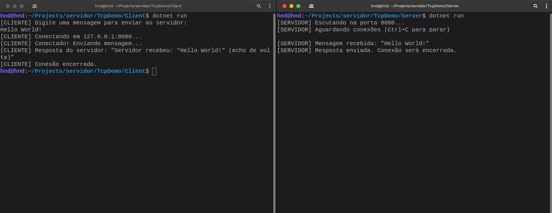 Dois terminais lado a lado: à esquerda o cliente enviando 'Hello World!' e recebendo o eco do servidor, à direita o servidor recebendo a mensagem e respondendo